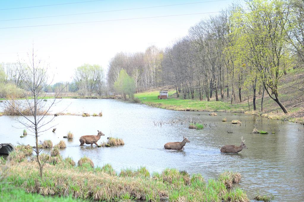 Kera Hotel Neszterenki Kültér fotó